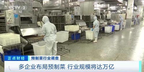 一個(gè)萬億元風(fēng)口要來 五一 假期這種食品,賣爆了