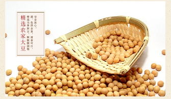 酥香四溢，贛南記憶 月亮粑、花生巴與鍋巴豆巴子餅的零食魅力